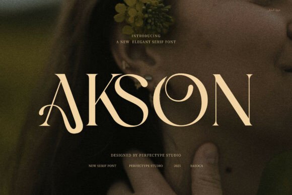 Akson Serif Font: A Marketer’s Review