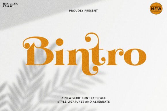 Bintro Serif Font for Web Design