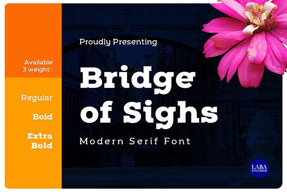 Bridge of Sighs: A Bold Slab Serif Font for Web