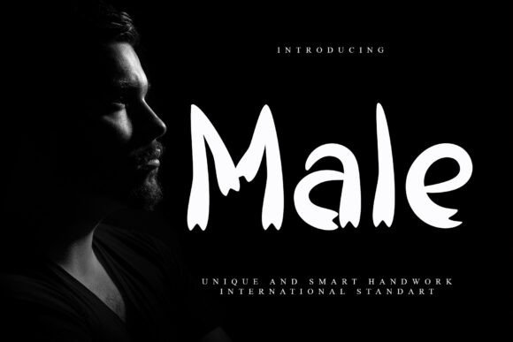 Male Font: Elevating Web Design with Elegant Display Typography