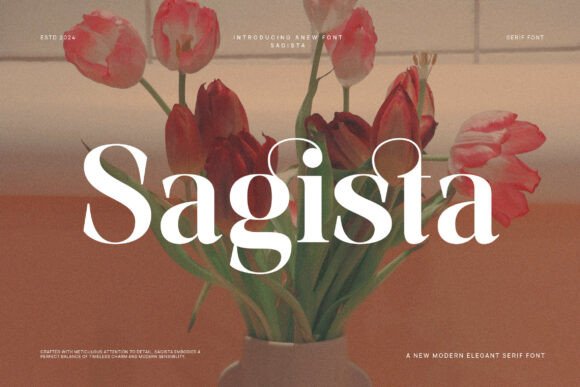 Sagista Serif Font: A Web Designer’s Review